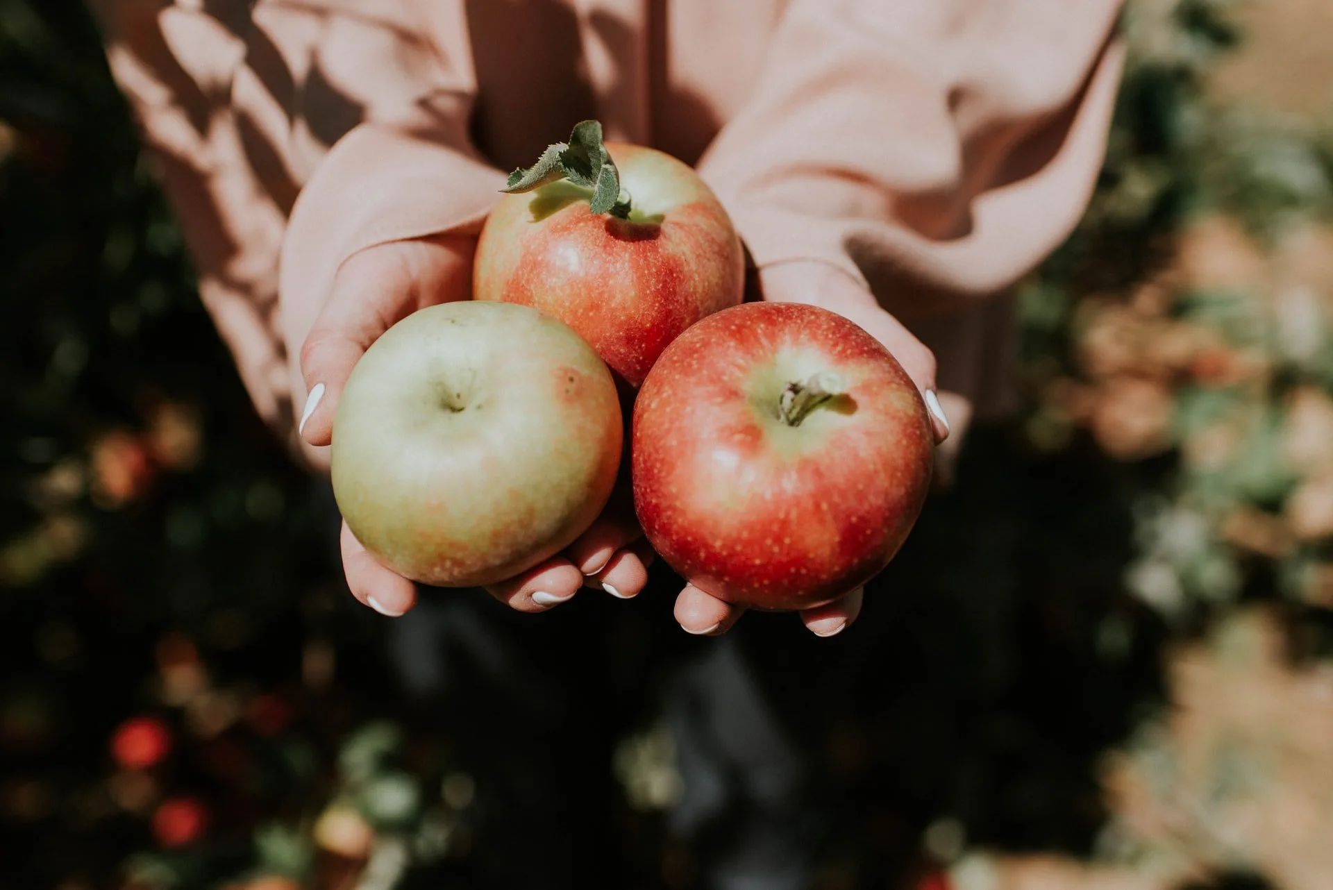 One Apple Isn’t Enough Anymore: What Our Depleted Soils Reveal About Modern Nutrition