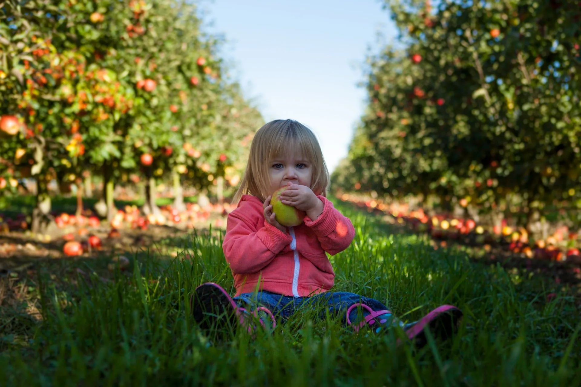 How to Make your Picky Toddler Fall in Love with Healthy Food