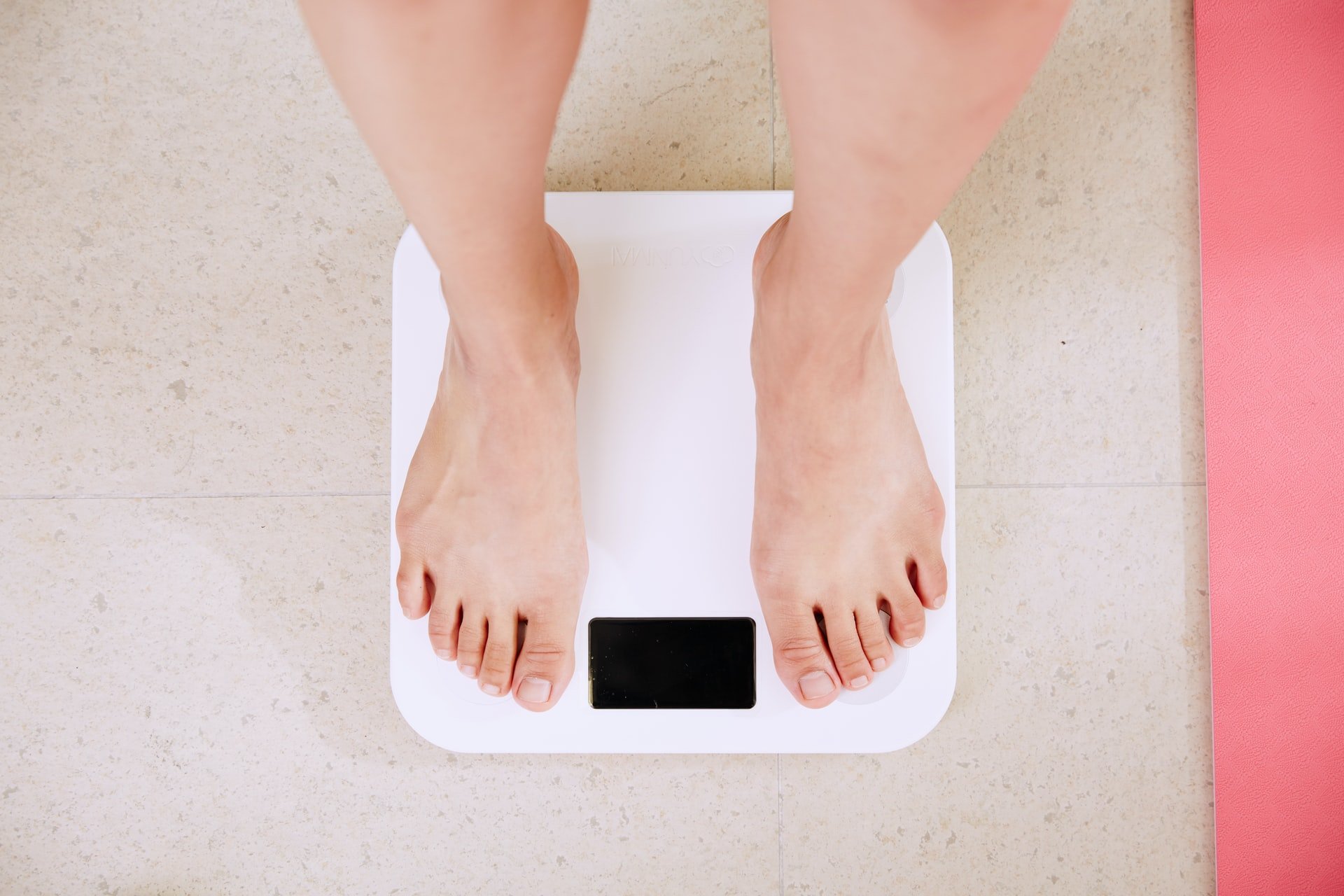 Struggling to Lose Weight? Blame Your Digestive System