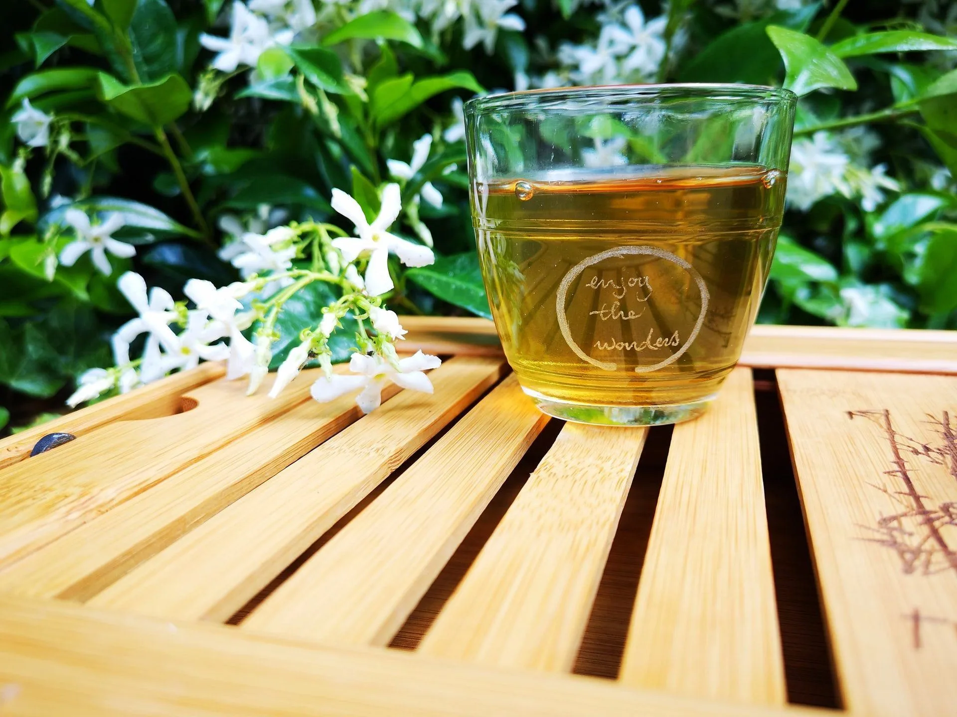 The Best Teas to Drink for Health