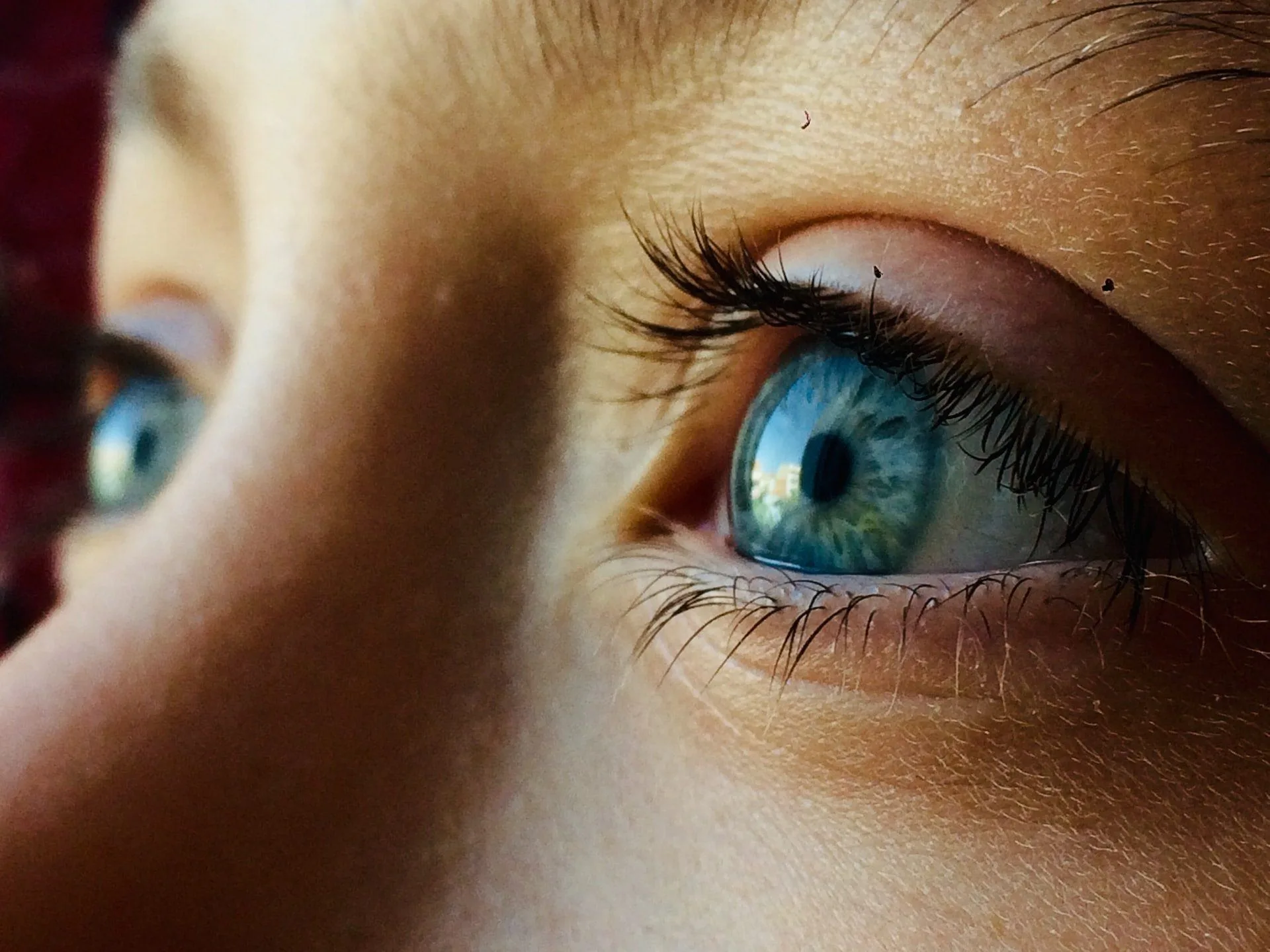 contact lenses