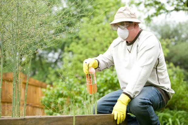 glyphosate