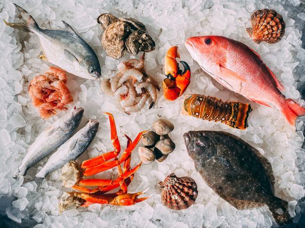 Fish free