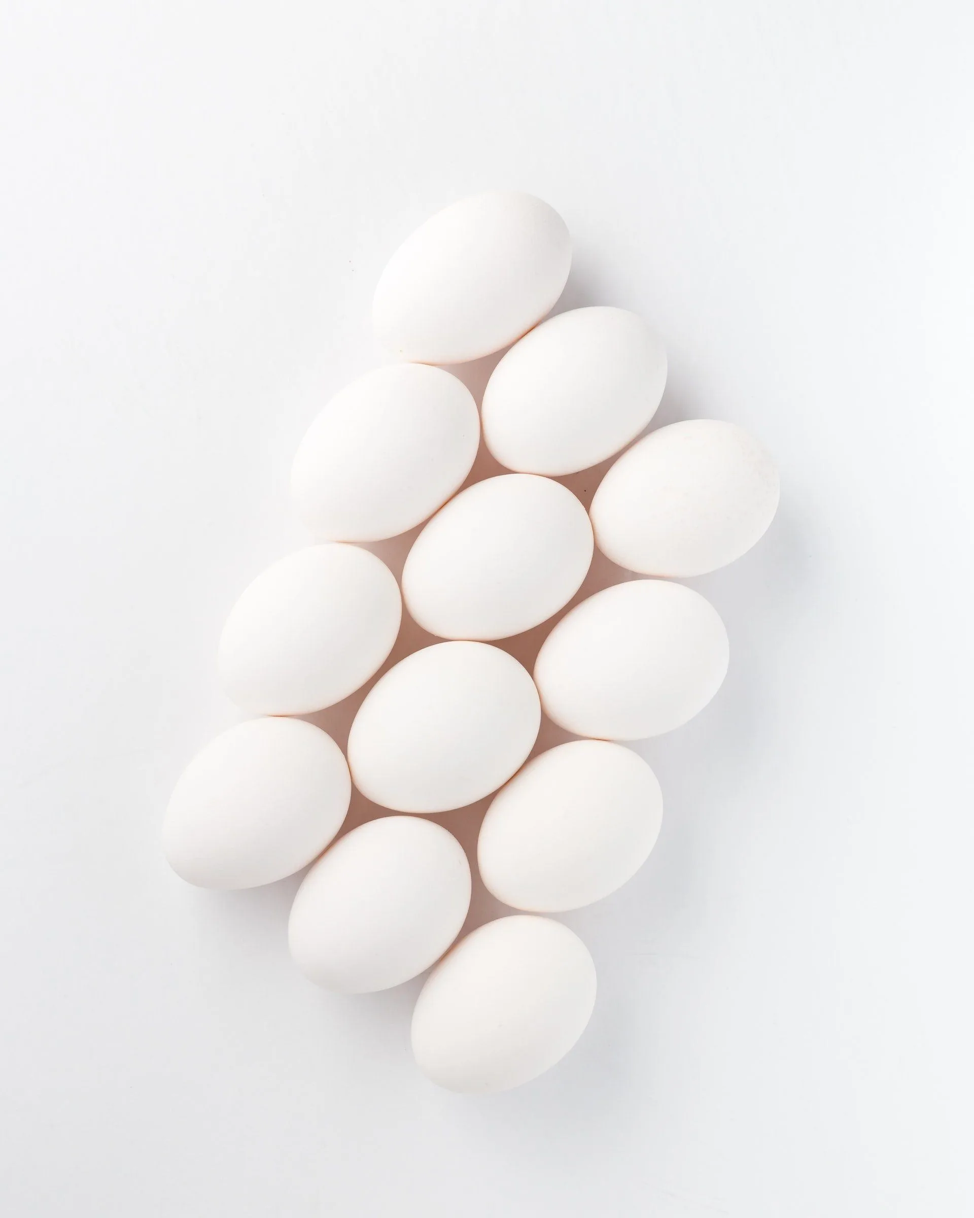 7 Reasons Why Egg Protein Powders Should Be Part Of Your Diet