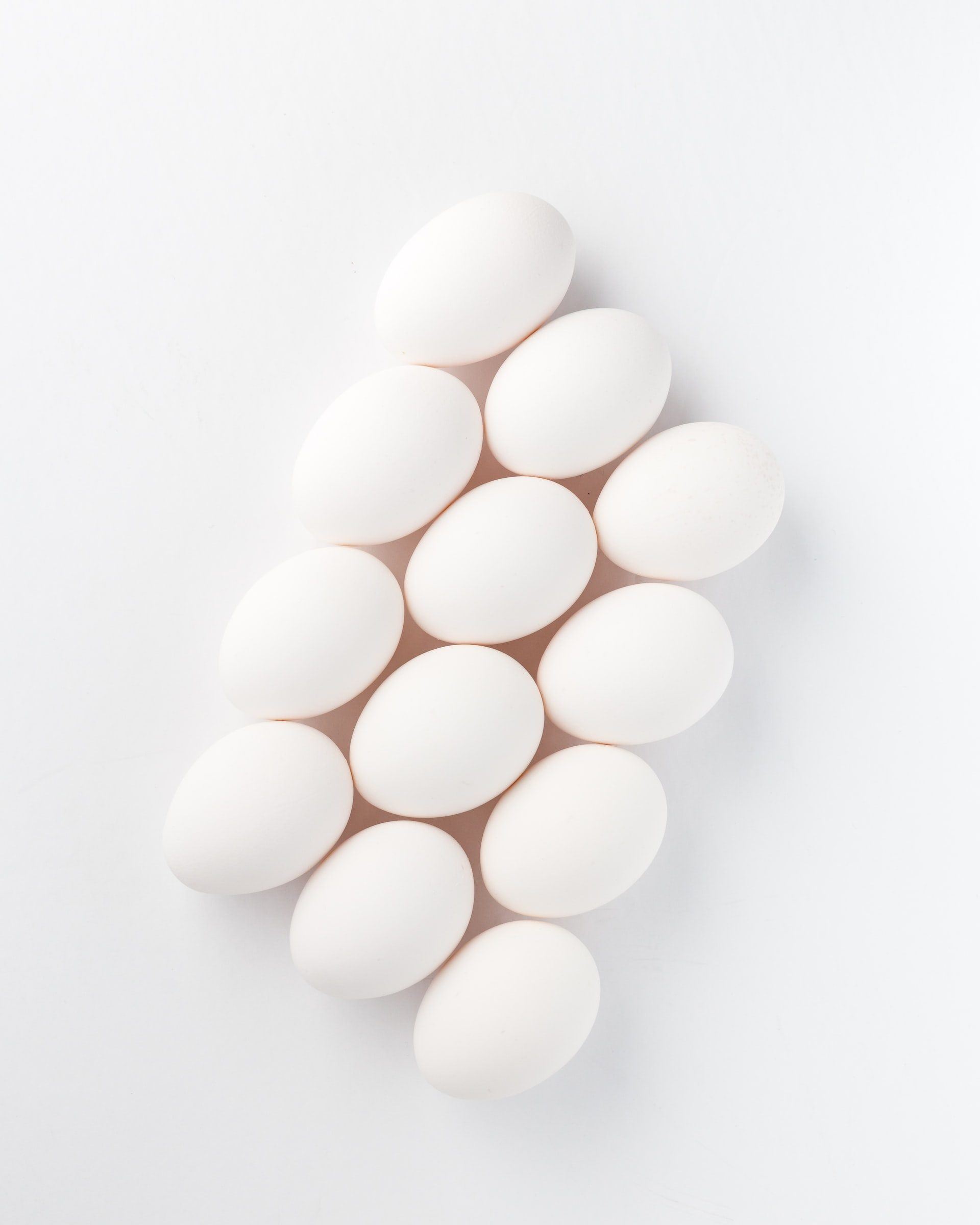 7 Reasons Why Egg Protein Powders Should Be Part Of Your Diet