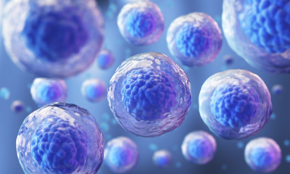 Why We Must Address Cultural Beliefs Inhibiting Blood Stem Cell Donation