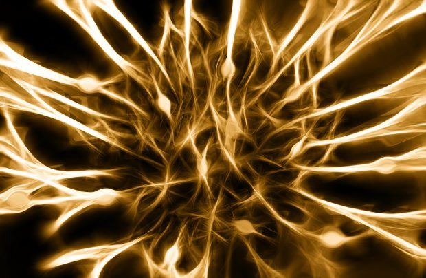 Vagus Nerve