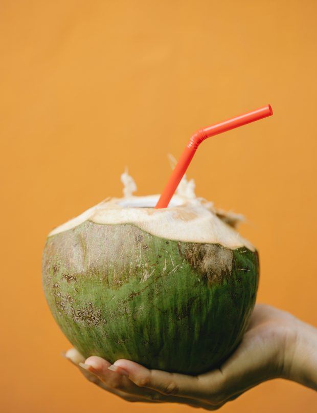 coconut