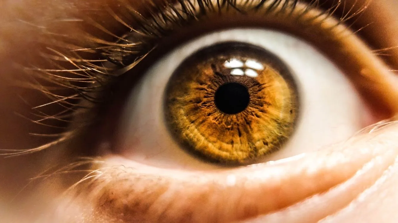 Is It Love? 9 Reasons Why Your Pupils May Dilate
