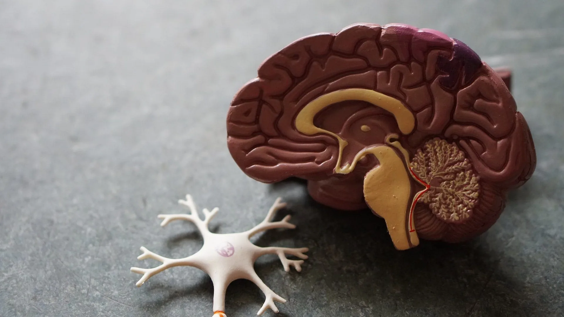 6 Silent Symptoms Of A Brain Tumor