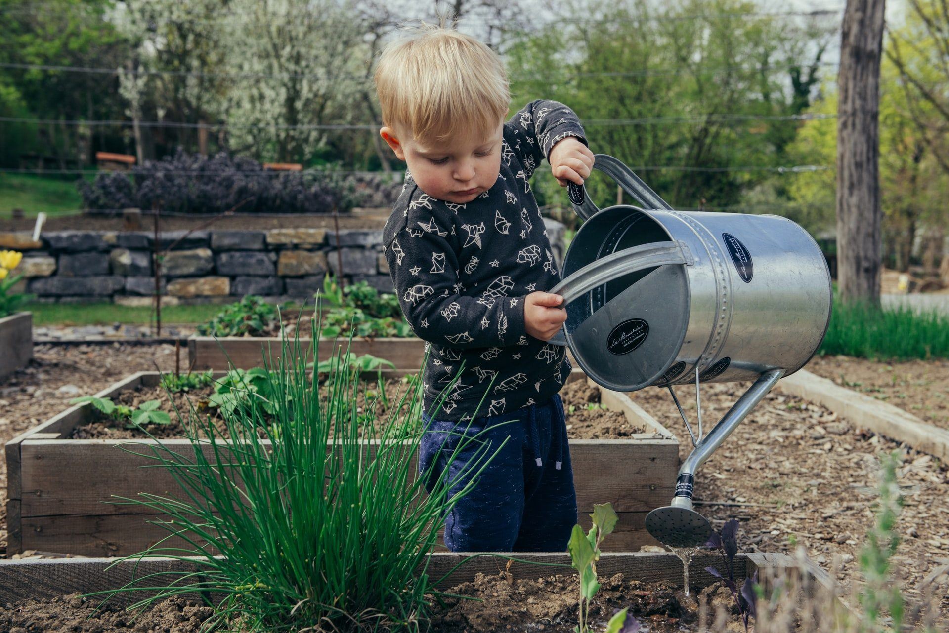 How to Create a Sustainable Garden for your Family