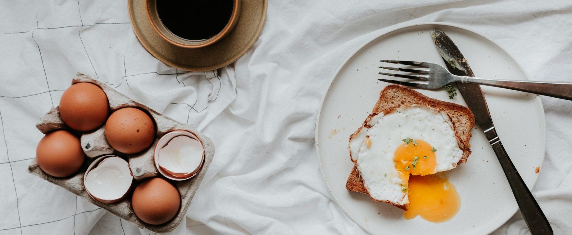 eggs