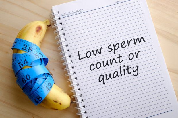 fertility and sperm count