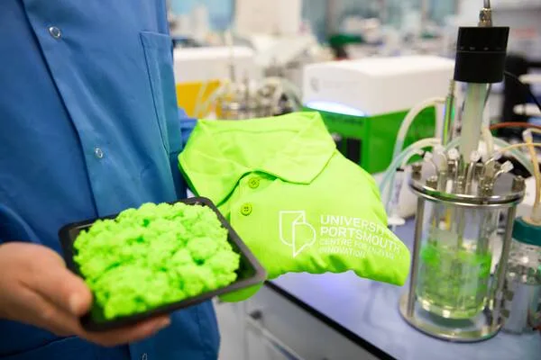 Plastic-eating enzymes to be deployed to combat waste polyester clothing