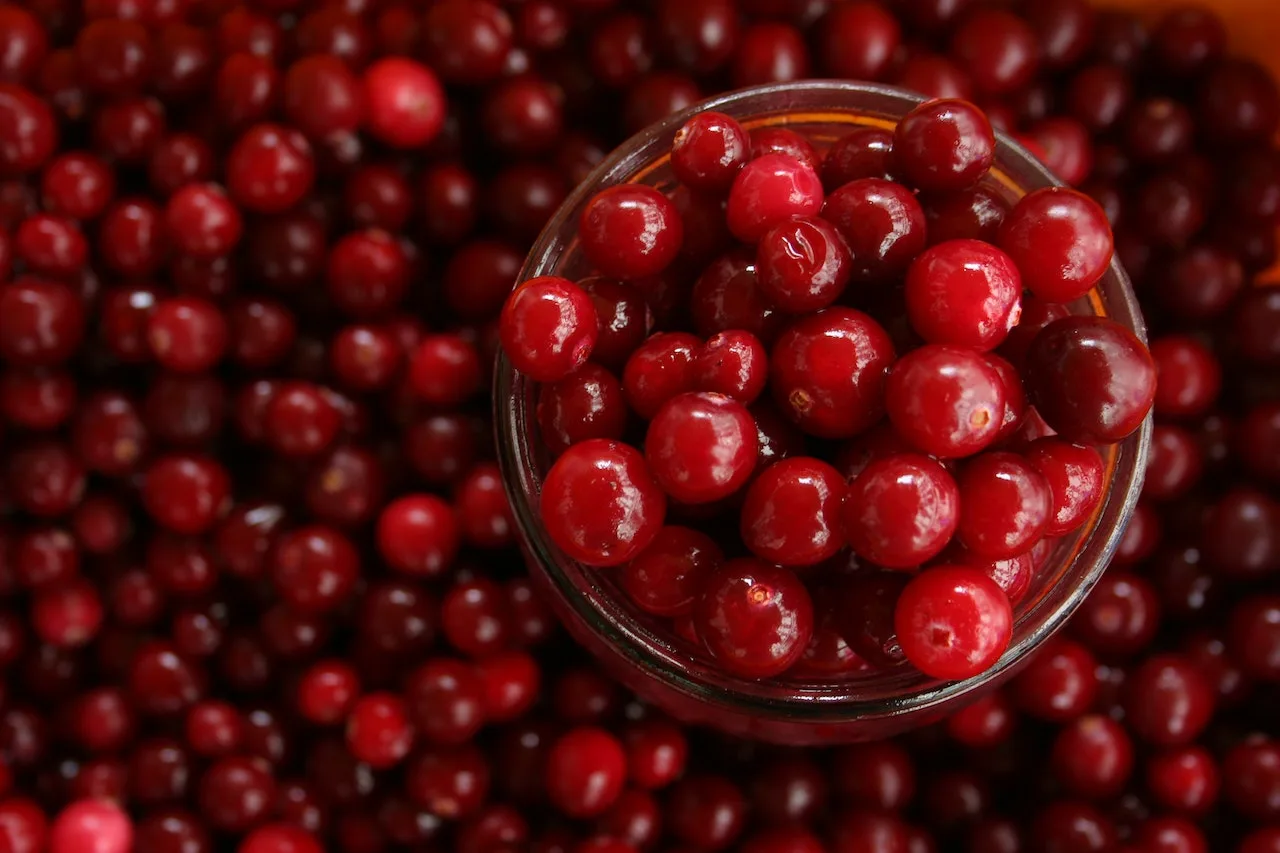 It’s Official: Study Confirms Cranberry Juice Can Prevent UTIs