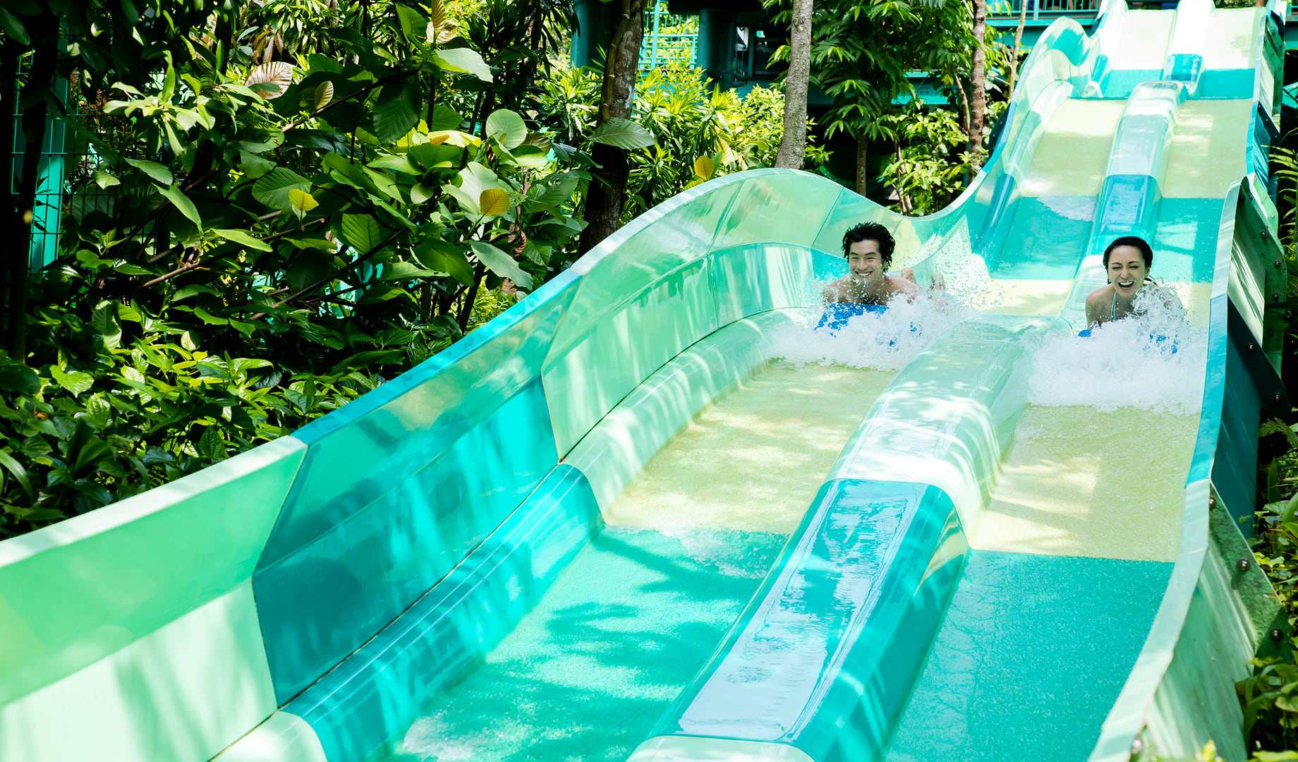Splash into Fun: Adventure Cove Waterpark and Wild Wild Wet Singapore