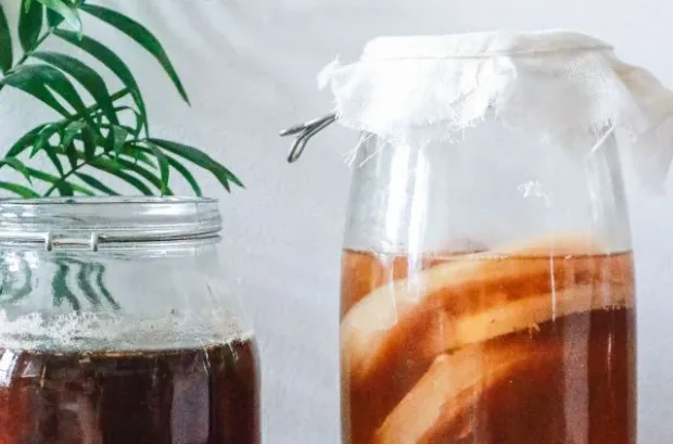 Kombucha