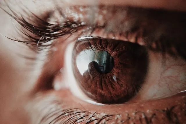 World Retina Day: Rising Diabetes Rates Threaten Vision Loss