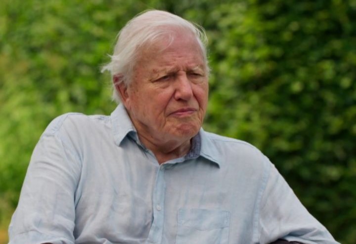 Sir David Attenborough is 98: His Three Tips For A Long and Healthy Life