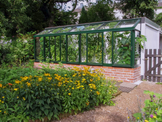 Janssens Greenhouse: Arcadia