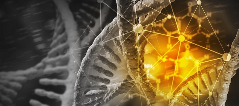 Gold Based Therapy Offers Promise For Regenerative Longevity