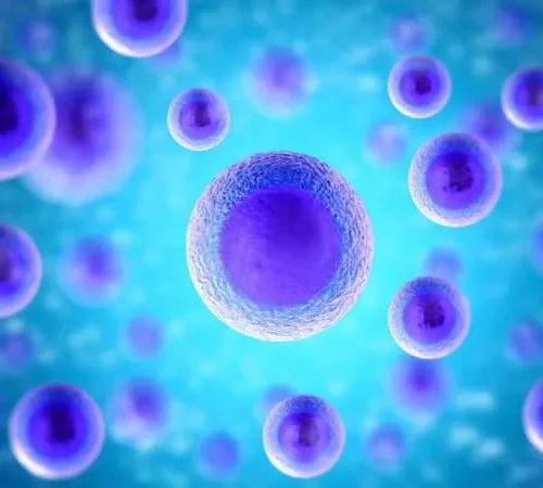 Single Cell