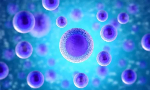 Single Cell