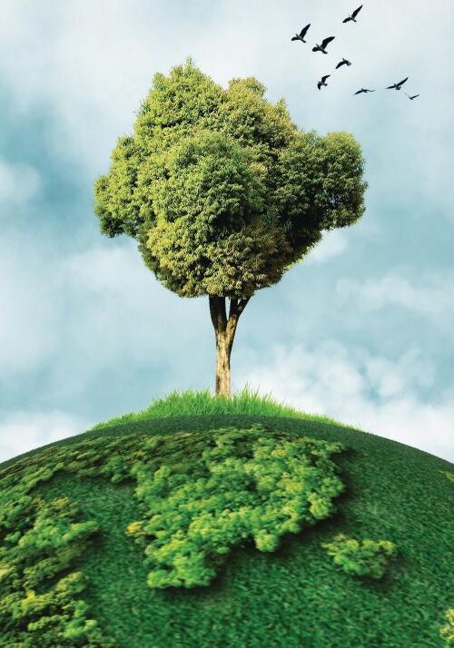 Anthropocene