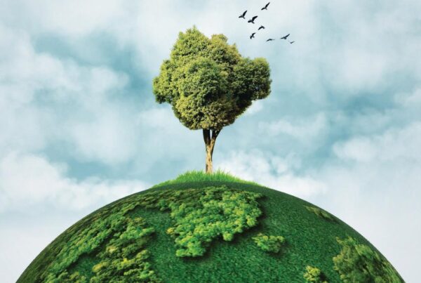 Anthropocene