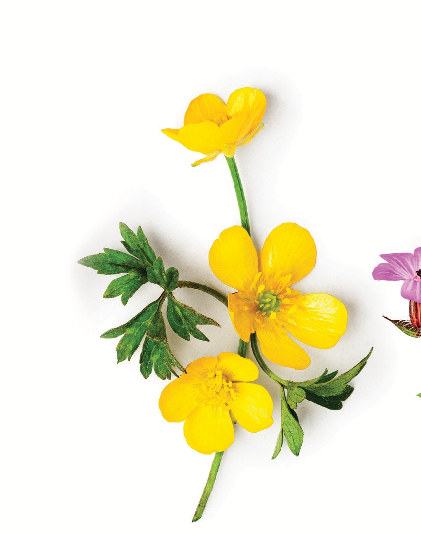 My Journey With Endometriosis