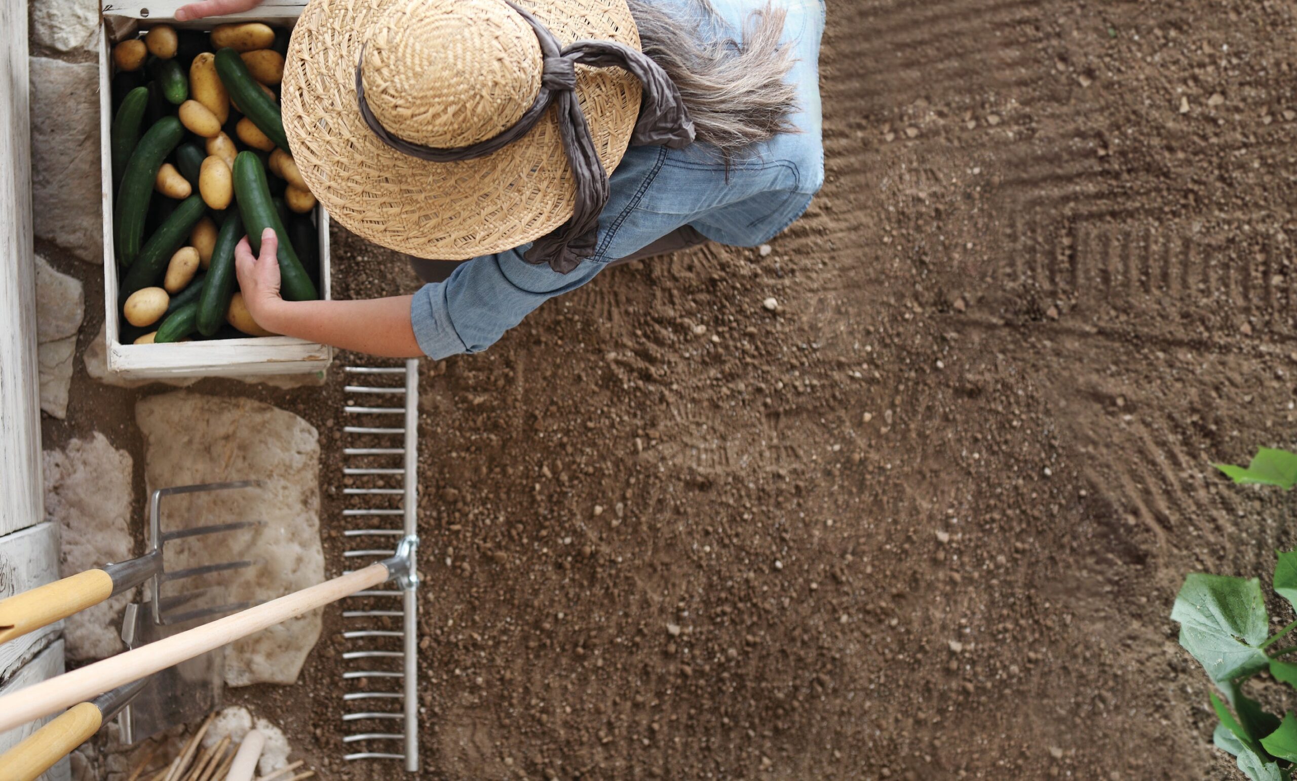 Why You Need To Understand Where Your Food Comes From And What’s Been Done To it