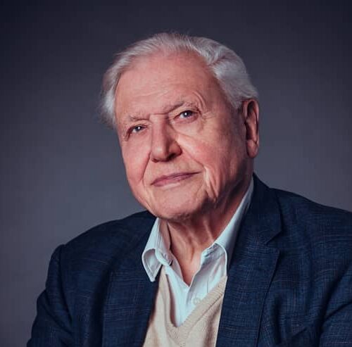 david attenborough
