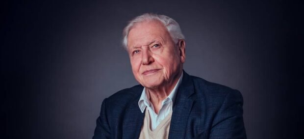 david attenborough
