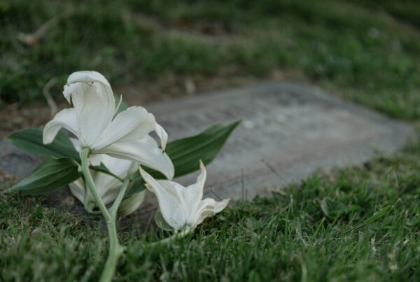 Loss and grief